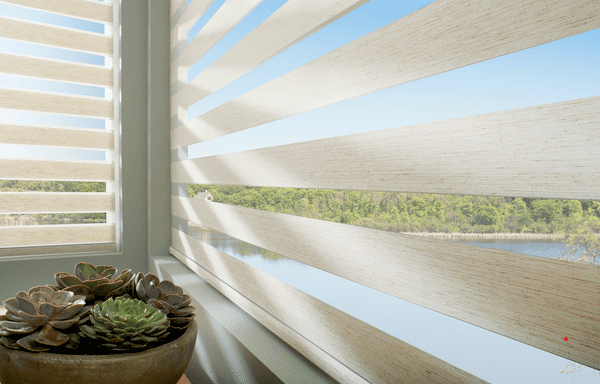 Zebra Blinds